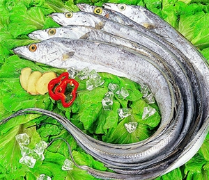 帶魚