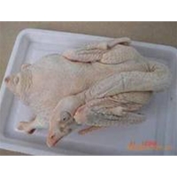 鵝肉